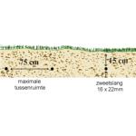 Zweetslang