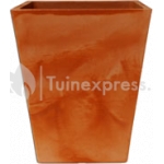 Calendula bloempot