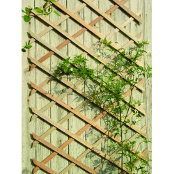 Hardhouten klimrek Hardhouten klimrek