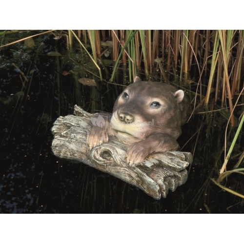 Otter liggend op een knoest 1