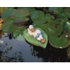 Eend liggend op een blad 1 drijffiguur