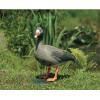 Gans gekleurd dierfiguur