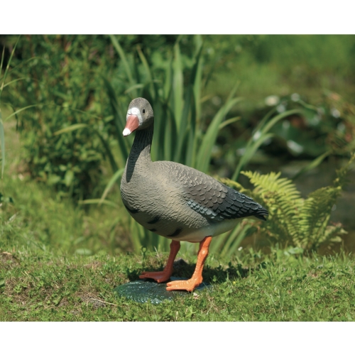 Gans gekleurd dierfiguur