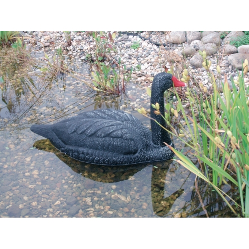 Zwaan zwart dierfiguur