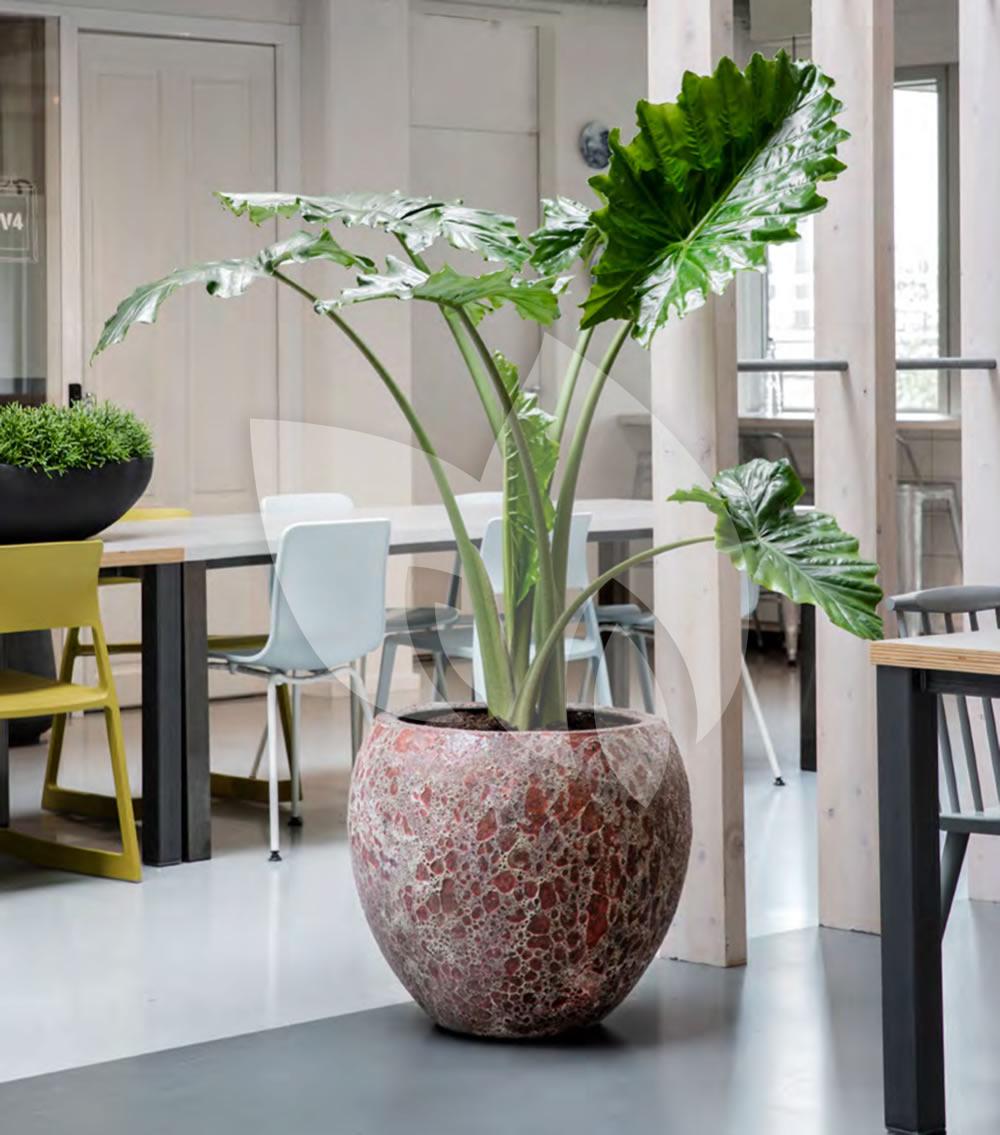 Baq Design Lava Relic Pink Planter bloempot binnen cm | Tuinexpress.nl