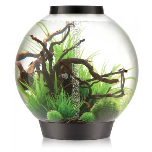 Afbeelding BiOrb Classic aquarium 105 liter MCR zwart door Tuinexpress.nl