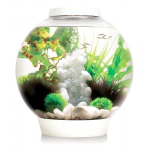 Afbeelding BiOrb Classic aquarium 15 liter LED wit door Tuinexpress.nl