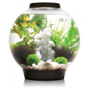 Afbeelding BiOrb Classic aquarium 15 liter LED zwart door Tuinexpress.nl