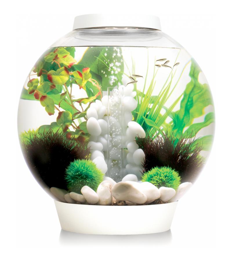 BiOrb Classic aquarium 30 liter LED Tropical wit