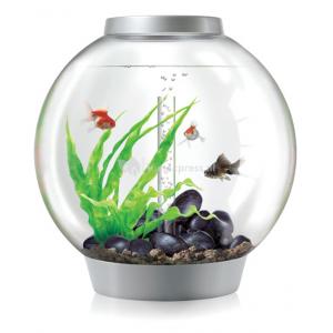 Afbeelding BiOrb Classic aquarium 30 liter LED Tropical zilver door Tuinexpress.nl