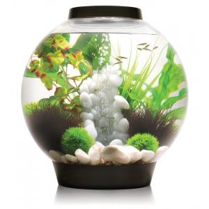 Afbeelding BiOrb Classic aquarium 30 liter LED zwart door Tuinexpress.nl