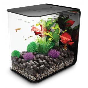 Afbeelding BiOrb Flow aquarium 30 liter LED zwart door Tuinexpress.nl