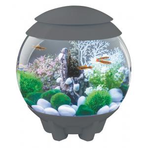 Afbeelding BiOrb Halo aquarium 15 liter MCR grijs door Tuinexpress.nl