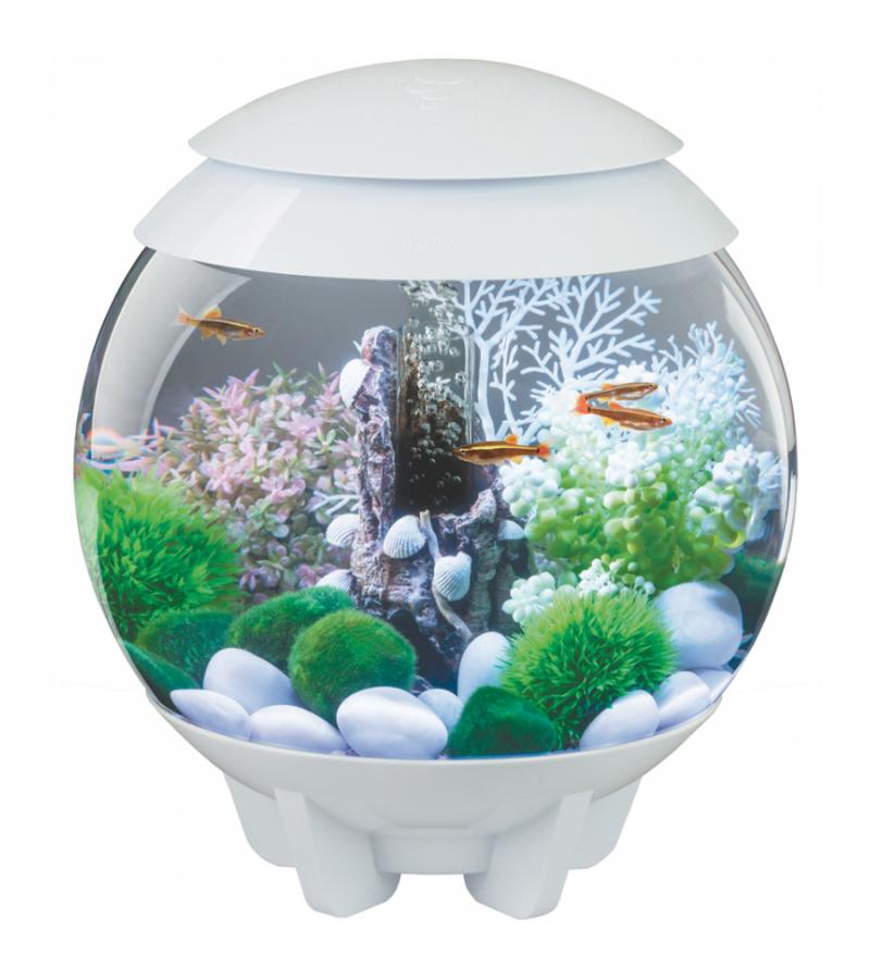 BiOrb Halo aquarium 30 liter LED maanlicht wit