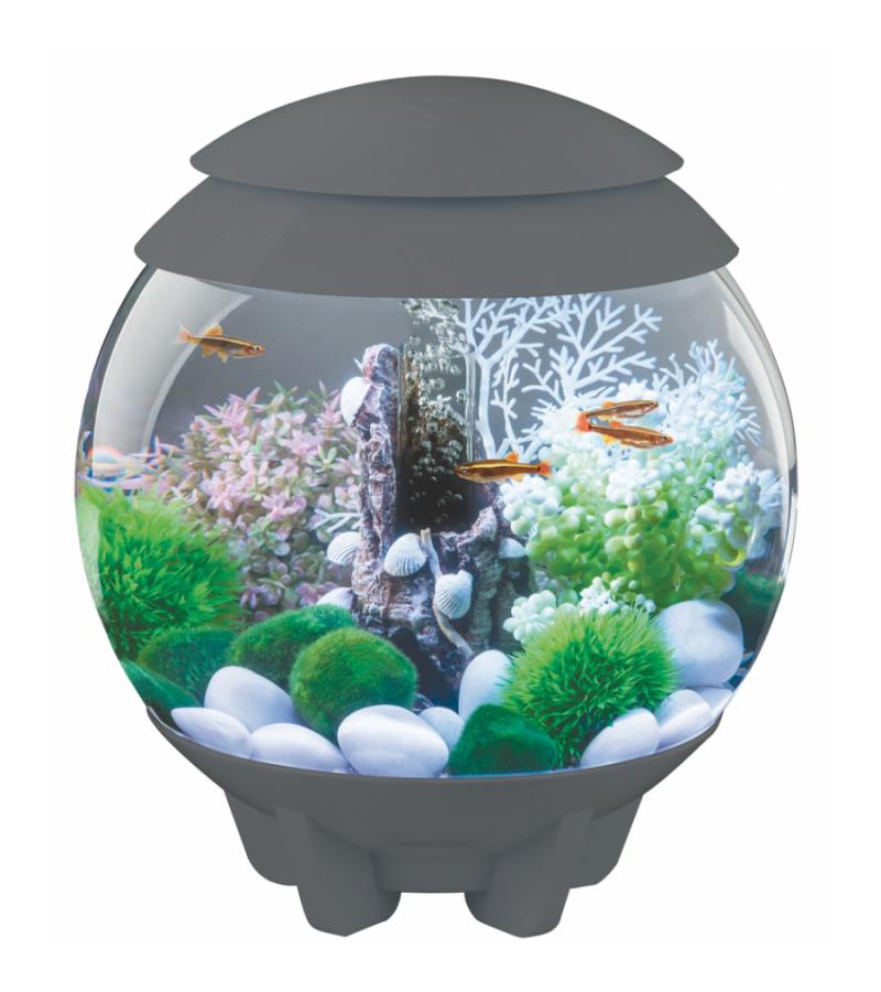 BiOrb Halo aquarium 60 liter LED maanlicht grijs