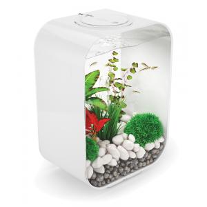 Afbeelding BiOrb Life aquarium 15 liter LED wit door Tuinexpress.nl