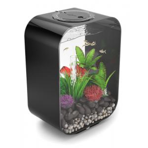 Afbeelding BiOrb Life aquarium 15 liter LED zwart door Tuinexpress.nl