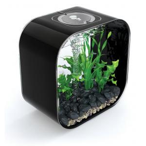 Afbeelding BiOrb Life aquarium 30 liter MCR zwart door Tuinexpress.nl