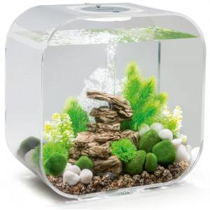 Afbeelding BiOrb Life aquarium 30 liter MCR transparant door Tuinexpress.nl