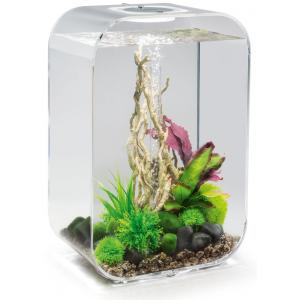 Afbeelding BiOrb Life aquarium 45 liter MCR transparant door Tuinexpress.nl