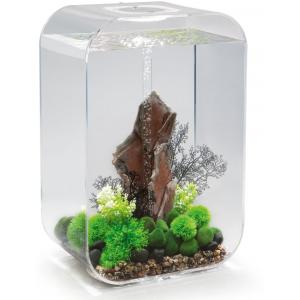 Afbeelding Biorb Life aquarium 60 liter MCR transparant door Tuinexpress.nl