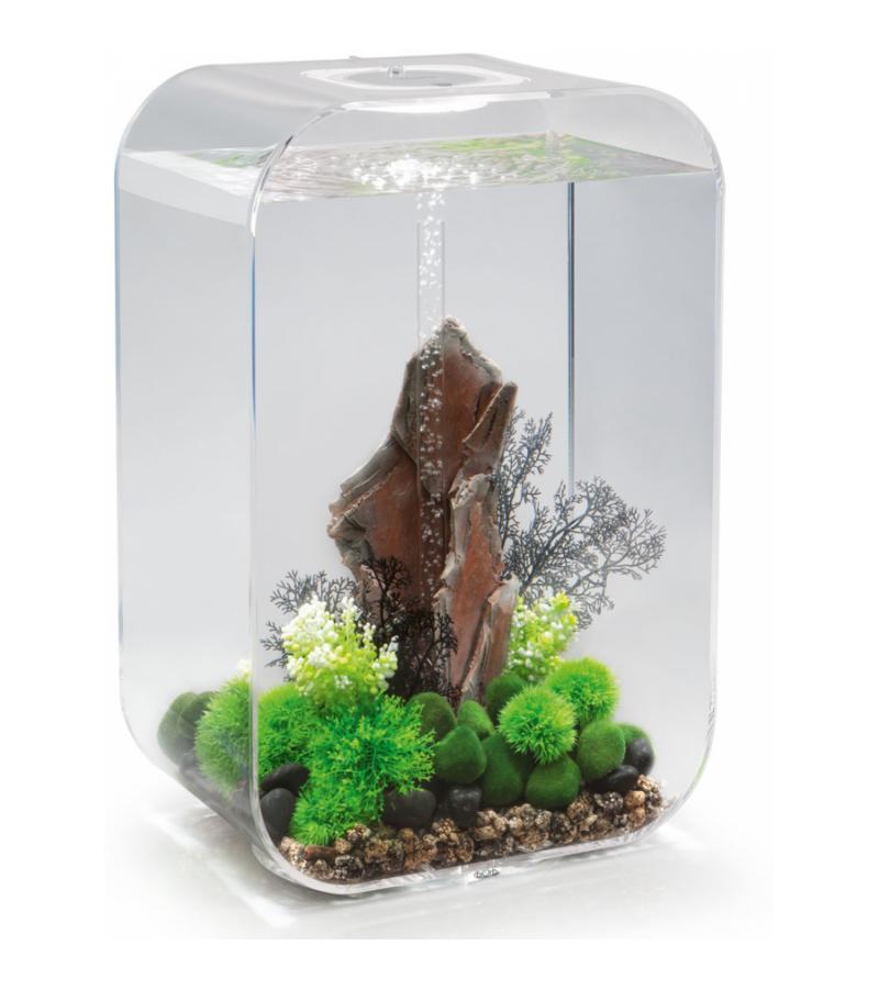 Biorb Life aquarium 60 liter MCR transparant