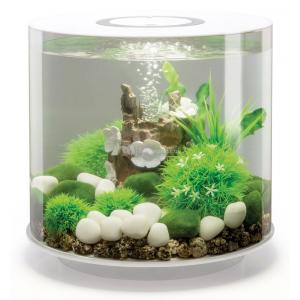 Afbeelding BiOrb Tube aquarium 15 liter LED wit door Tuinexpress.nl