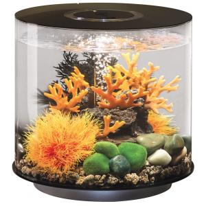 Afbeelding BiOrb Tube aquarium 15 liter LED zwart door Tuinexpress.nl