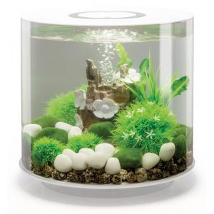 Afbeelding BiOrb Tube aquarium 15 liter MCR wit door Tuinexpress.nl