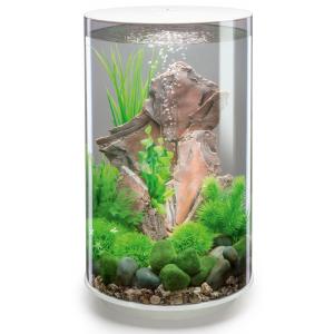 Afbeelding BiOrb Tube aquarium 30 liter LED wit door Tuinexpress.nl