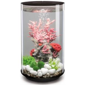 Afbeelding BiOrb Tube aquarium 30 liter LED zwart door Tuinexpress.nl