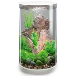 Afbeelding BiOrb Tube aquarium 30 liter MCR wit door Tuinexpress.nl