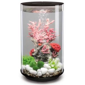 Afbeelding BiOrb Tube aquarium 30 liter MCR zwart door Tuinexpress.nl