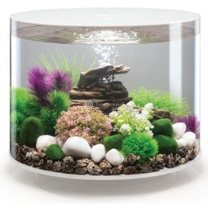 Afbeelding BiOrb Tube aquarium 35 liter LED wit door Tuinexpress.nl