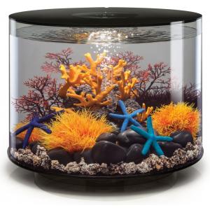 Afbeelding BiOrb Tube aquarium 35 liter LED zwart door Tuinexpress.nl