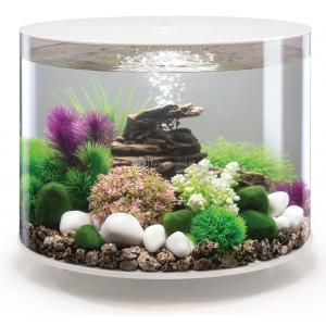 Afbeelding BiOrb Tube aquarium 35 liter MCR wit door Tuinexpress.nl