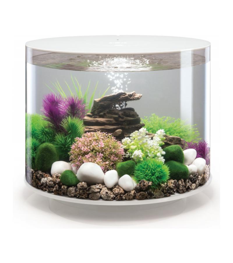 BiOrb Tube aquarium 35 liter MCR wit