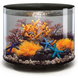 Afbeelding BiOrb Tube aquarium 35 liter MCR zwart door Tuinexpress.nl