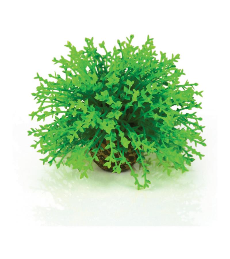 BiOrb bloemenbal groen aquarium decoratie