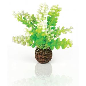 Afbeelding BiOrb Caulerpa groen aquarium decoratie door Tuinexpress.nl