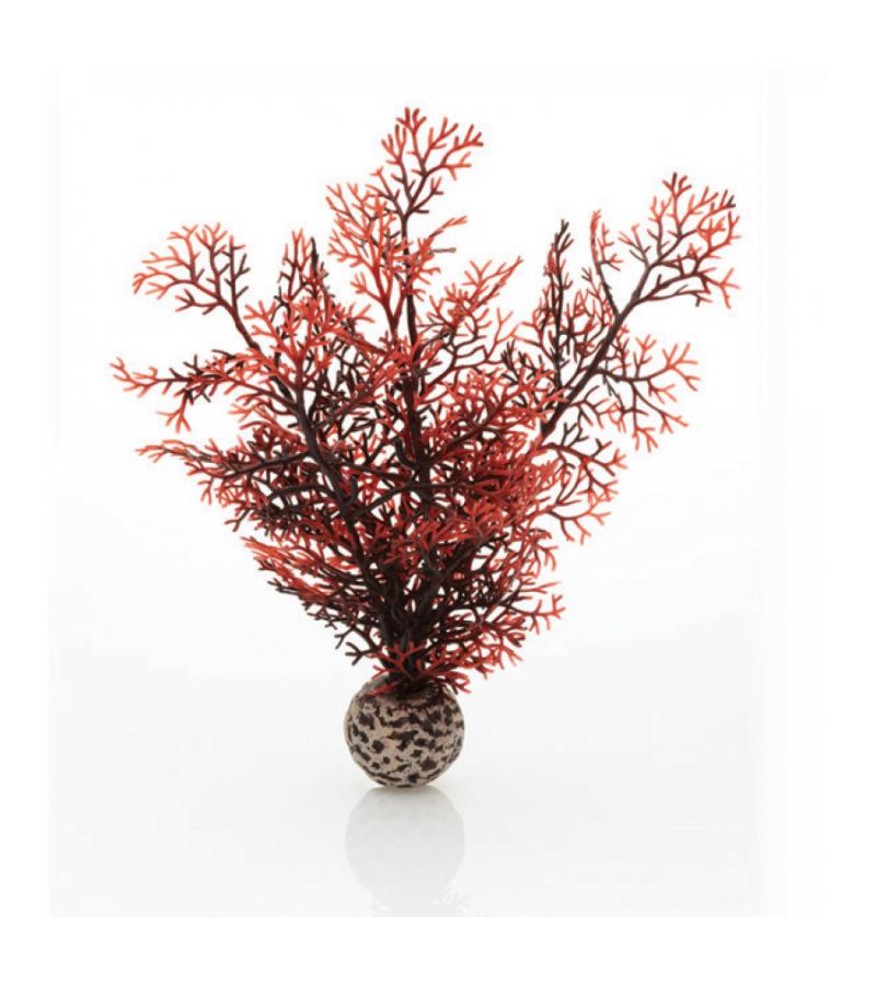 BiOrb koraal klein donkerrood aquarium decoratie