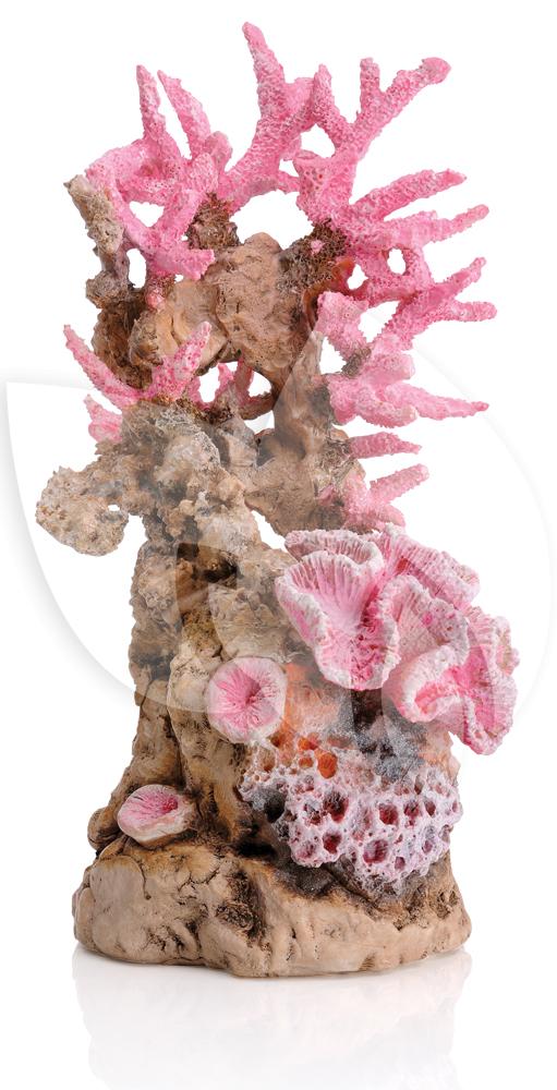 Biorb Ornament Koraalrif Roze Aquarium Decoratie Tuinexpress Nl