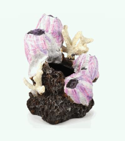 BiOrb ornament eendenmossel roze klein aquarium decoratie
