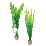 BiOrb planten medium groen aquarium decoratie