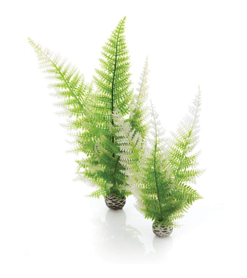 BiOrb wintervaren aquarium decoratie