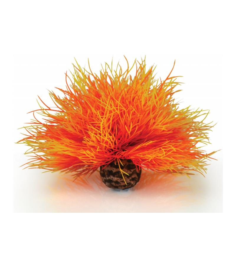 BiOrb zeelelie vuur aquarium decoratie