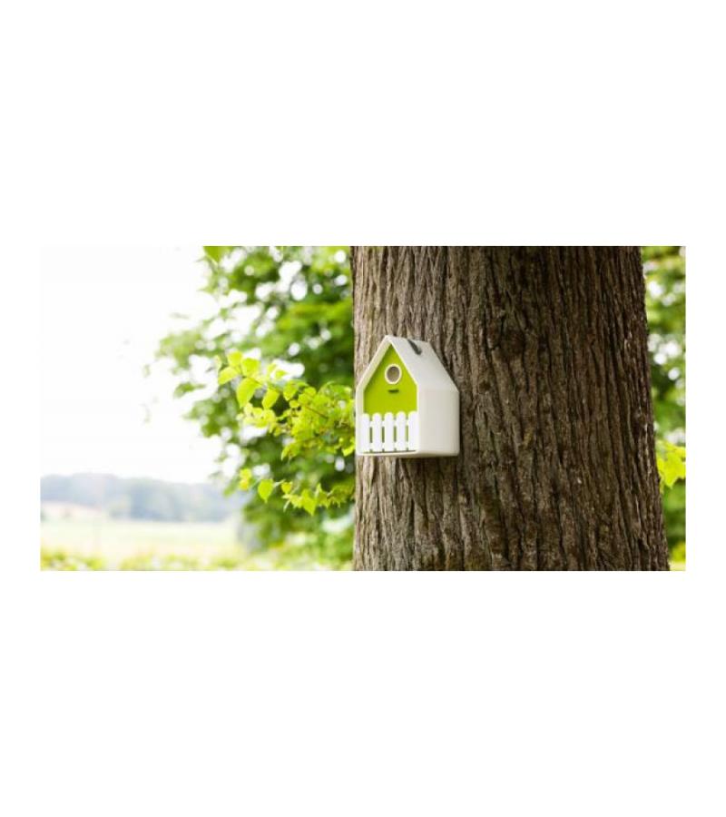 Landhaus Vogelhuisje -  lime groen