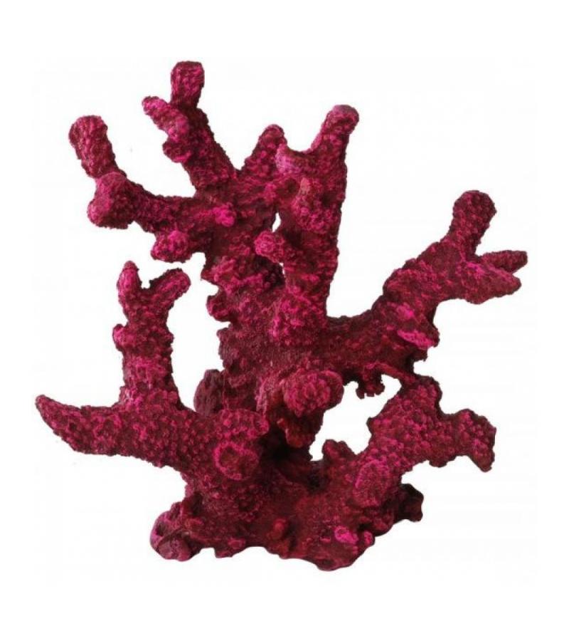 Vinger koraal rood aquarium decoratie