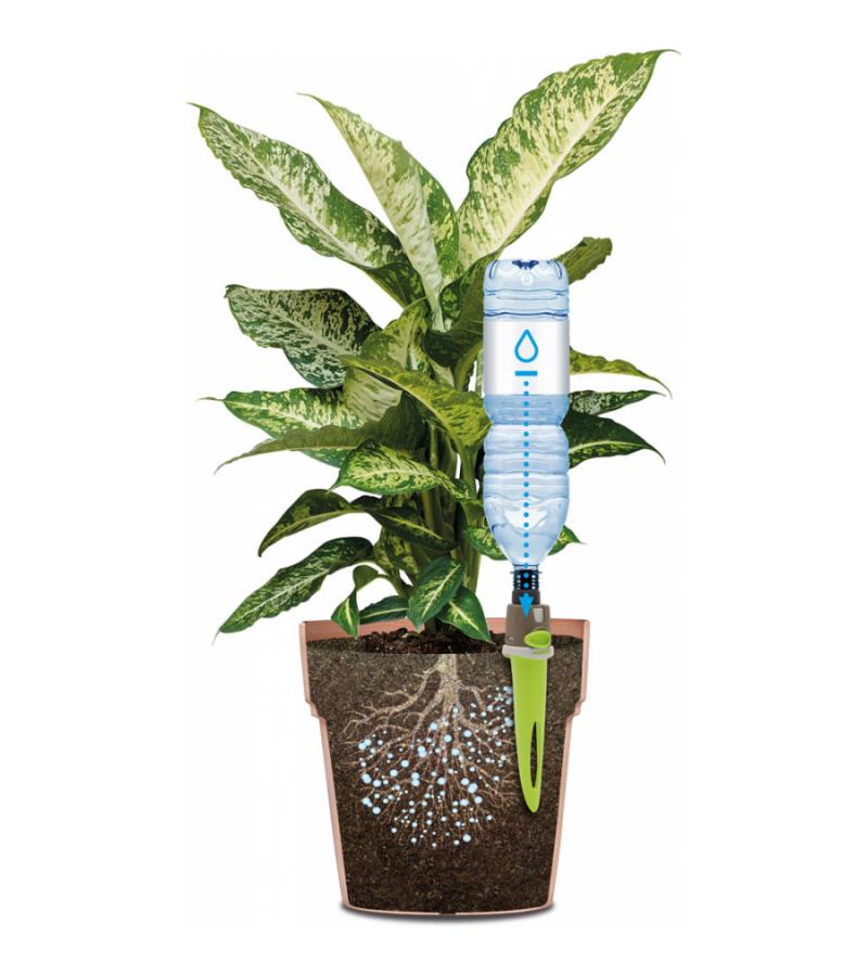 Aquaflora planten druppelaar set van 3