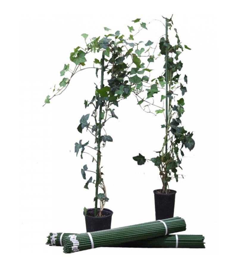 Plantenstok geplastificeerd 150 cm - 50 stuks